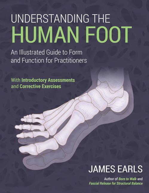 Carte Understanding the Human Foot: An Illustrated Guide to Form and Function for Practitioners 