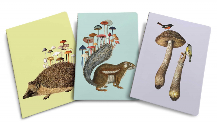 Carte Art of Nature: Fungi Sewn Notebook Collection (Set of 3): (Gifts for Mushroom Enthusiasts and Nature Lovers, Nature Journal, Journals for Hikers) 