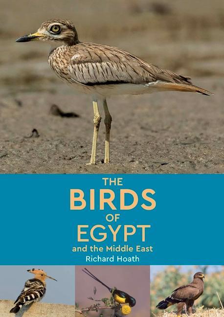 Könyv The Birds of Egypt and the Middle East 