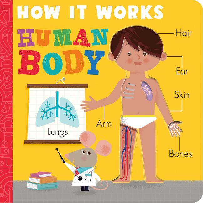 Kniha How it Works: Human Body David Semple