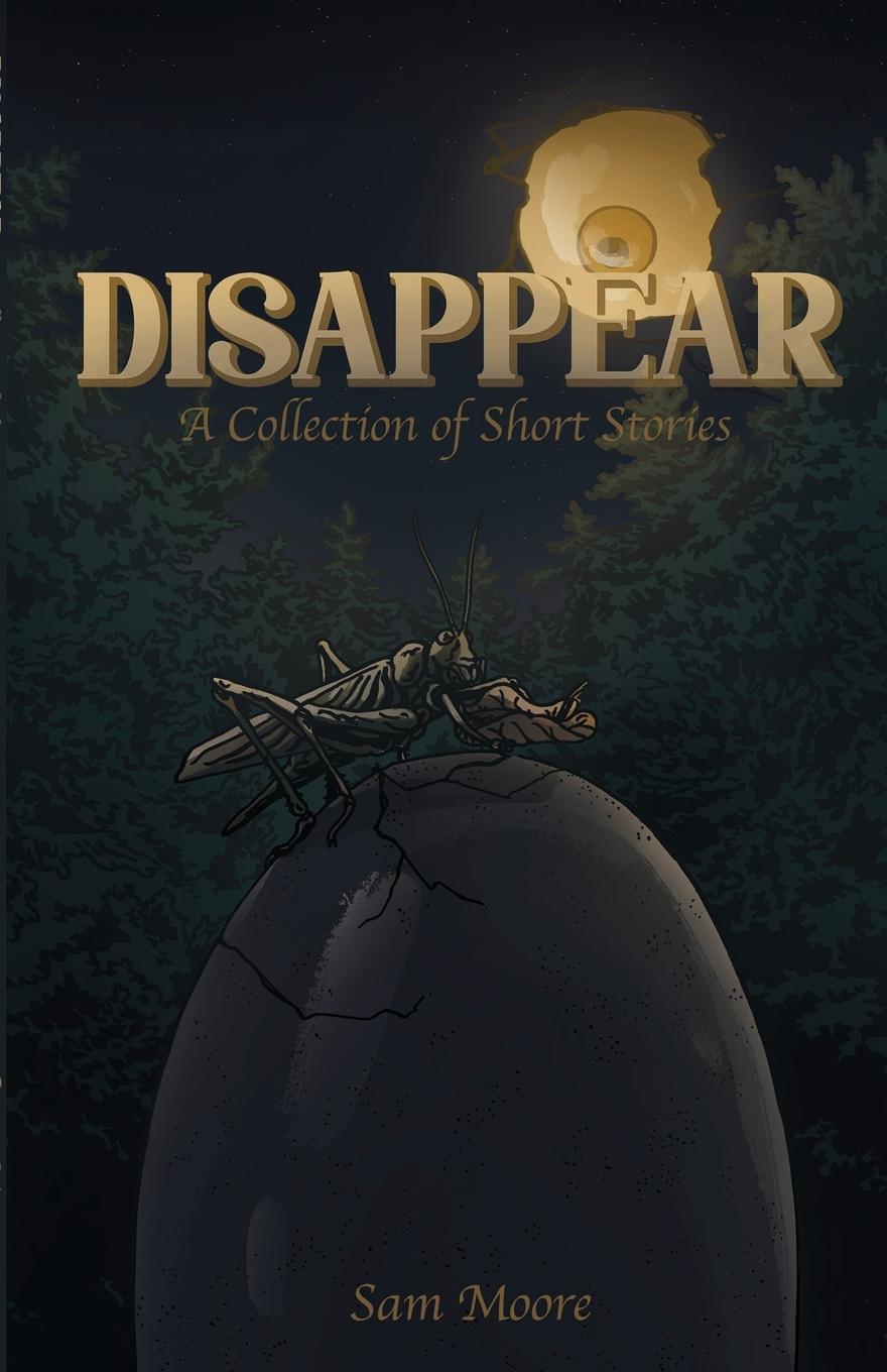 Knjiga Disappear Sam Moore