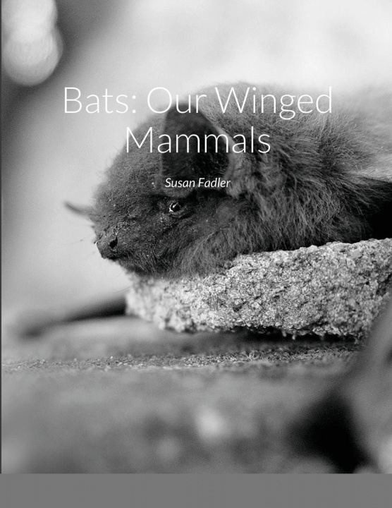 Knjiga Bats Susan Fadler