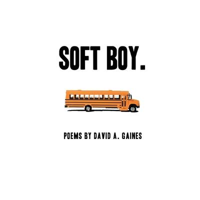 Knjiga soft boy. David A. Gaines