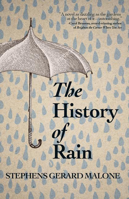 Kniha The History of Rain 