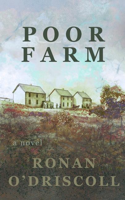 Kniha Poor Farm Ronan O'Driscoll