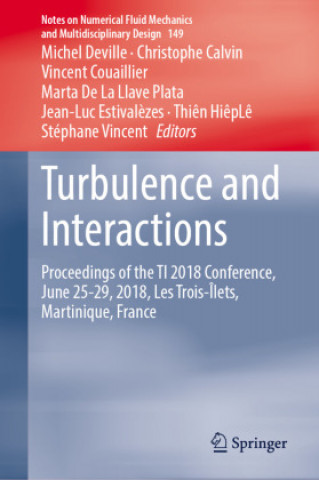 Boek Turbulence and Interactions Christophe Calvin