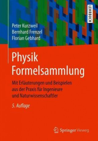 Kniha Physik Formelsammlung Bernhard Frenzel