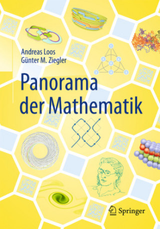 Kniha Panorama der Mathematik Rainer Sinn