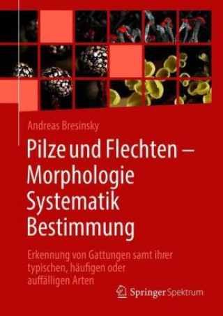 Книга Pilze und Flechten ? Morphologie, Systematik, Bestimmung 