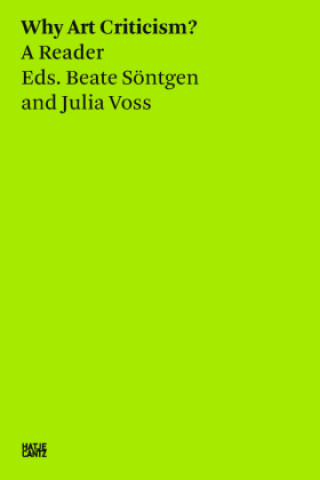 Kniha Why Art Criticism? A Reader Julia Voss