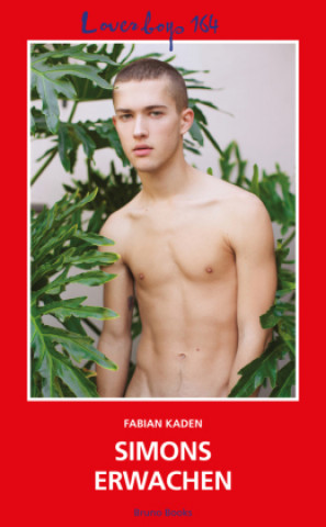 Boek Loverboys 164: Simons Erwachen Fabian Kaden
