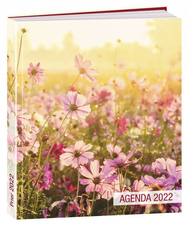 Kniha Agenda Prier 2022 collegium