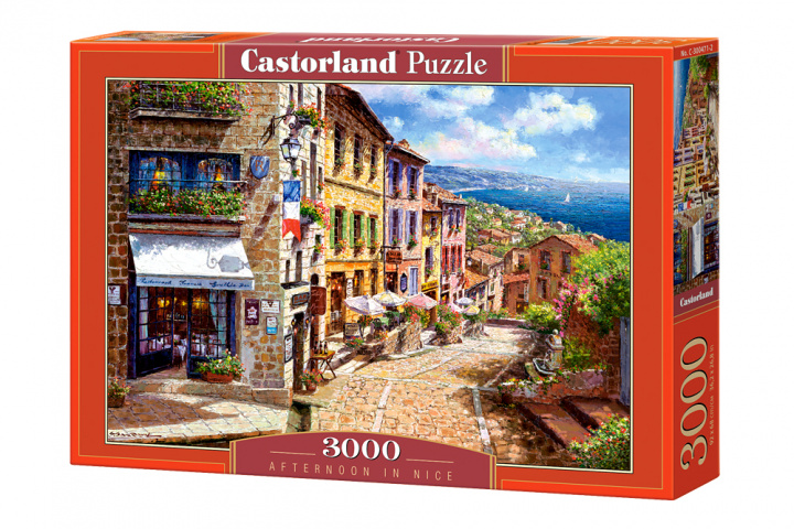 Book Puzzle 3000 Popołudnie w Nicei C-300471-2 
