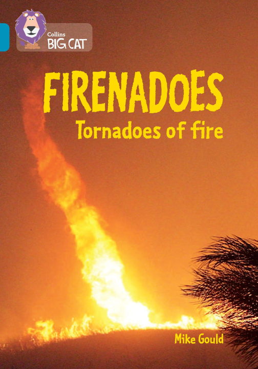 Knjiga Firenadoes: Tornadoes of fire Mike Gould
