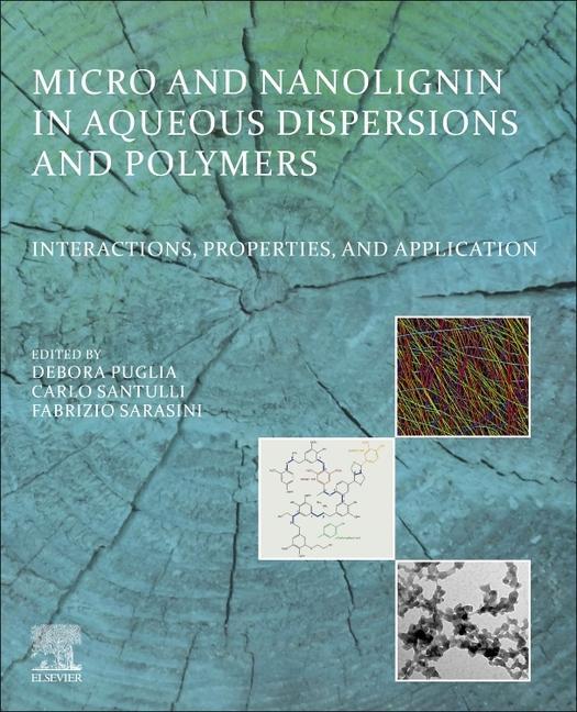 Kniha Micro and Nanolignin in Aqueous Dispersions and Polymers Carlo Santulli