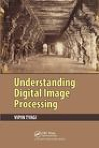 Knjiga Understanding Digital Image Processing Vipin Tyagi