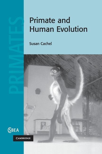 Libro Primate and Human Evolution Cachel