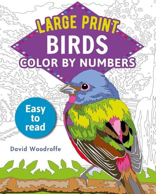 Książka Large Print Color by Numbers Birds: Easy-To-Read 