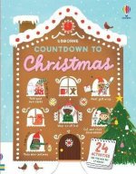 Könyv Countdown to Christmas JAMES MACLAINE   ABI