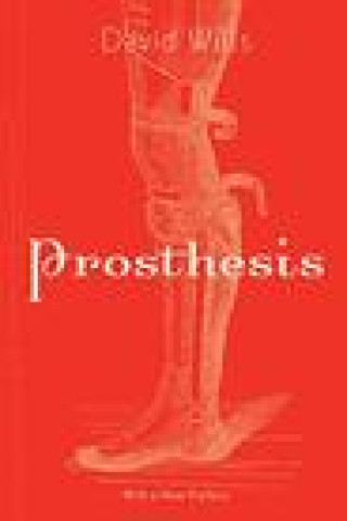 Kniha Prosthesis David Wills