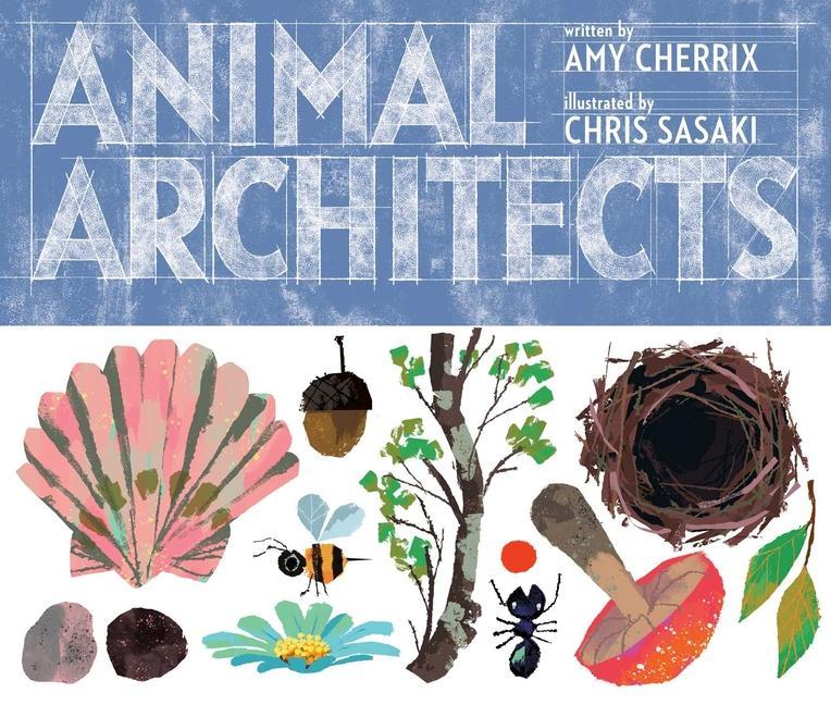 Könyv Animal Architects Chris Sasaki