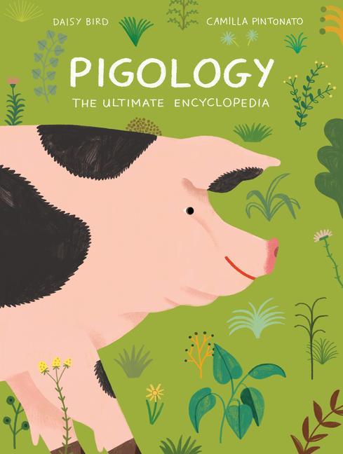 Book Pigology Camilla Pintonato