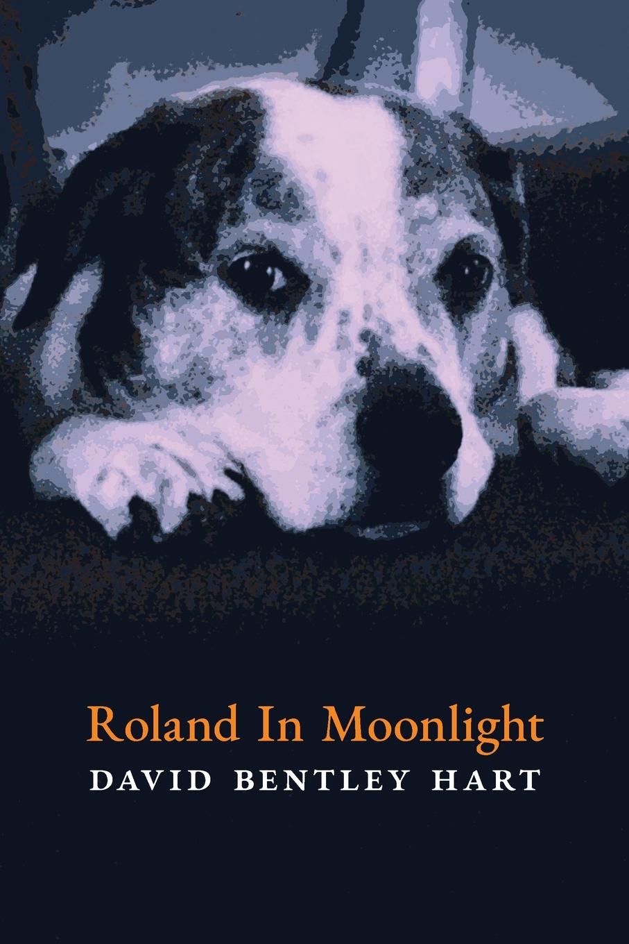 Książka Roland in Moonlight 