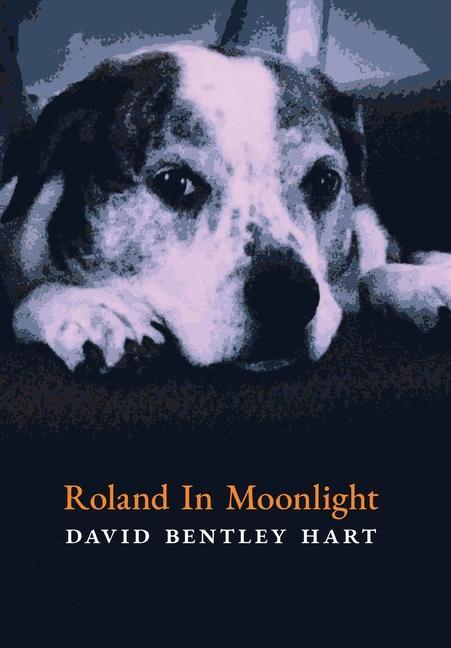 Buch Roland in Moonlight David Bentley Hart