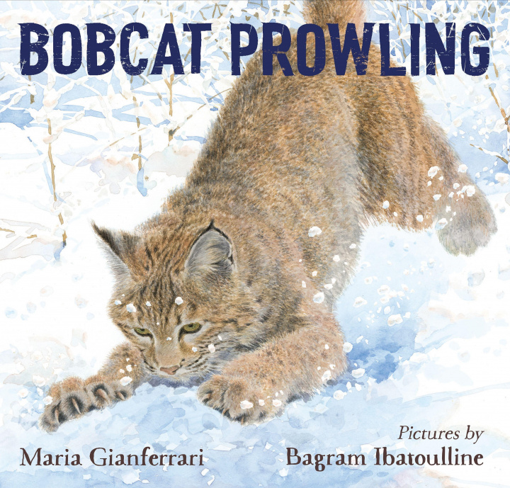 Kniha Bobcat Prowling Bagram Ibatoulline