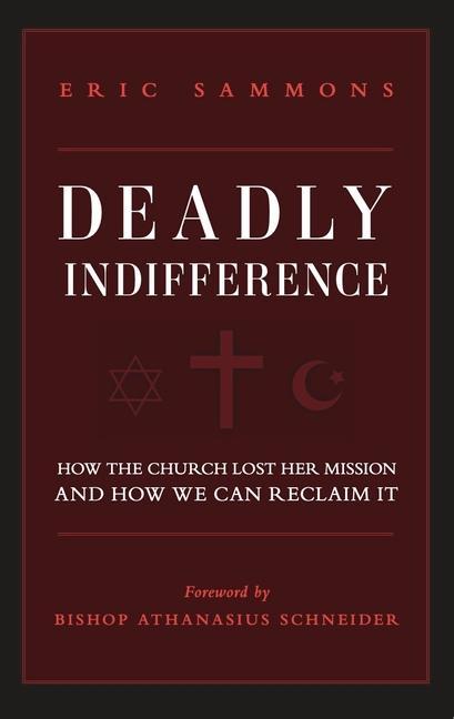 Kniha Deadly Indifference: How the Church Lost Her Mission, and How We Can Reclaim It 