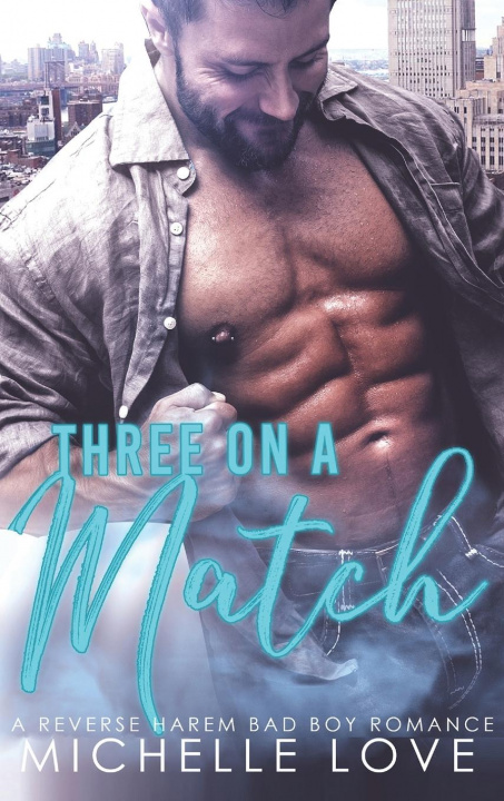 Knjiga Three on a Match Michelle Love