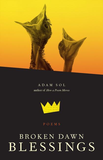 Boek Broken Dawn Blessings: Poems Sol