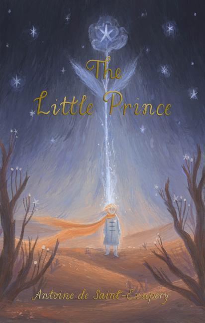 Kniha Little Prince A DE SAINT-EXUPERY