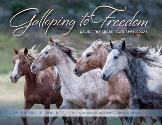 Könyv Galloping to Freedom Steve Israel