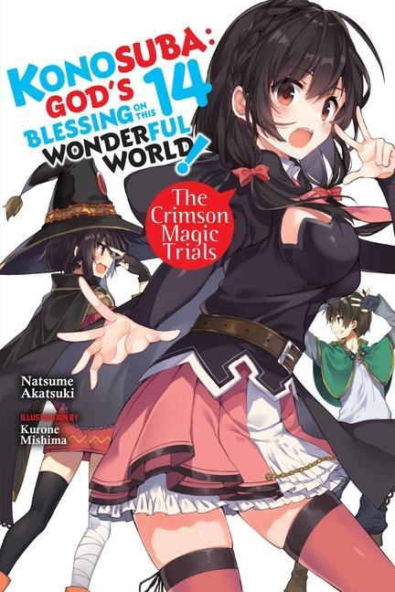 Книга Konosuba: God's Blessing on This Wonderful World!, Vol. 14 light novel Natsume Akatsuki