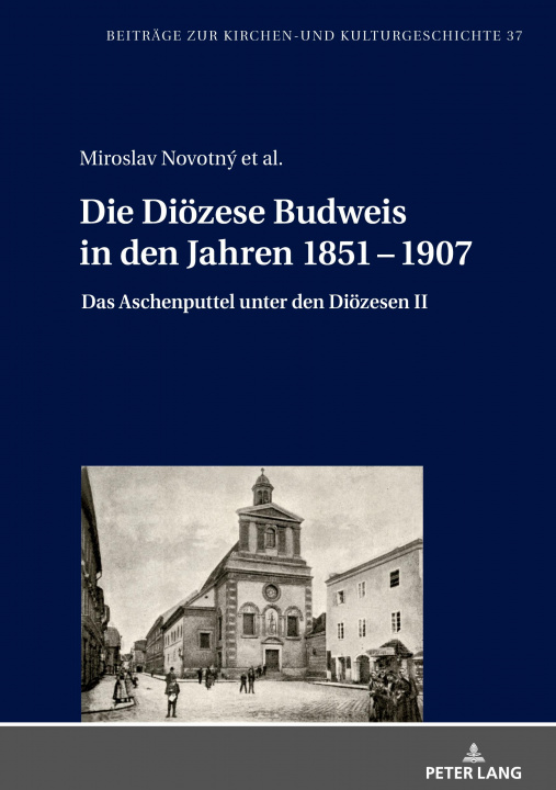 Kniha Die Dioezese Budweis in Den Jahren 1851 - 1907 Miroslav Novotny