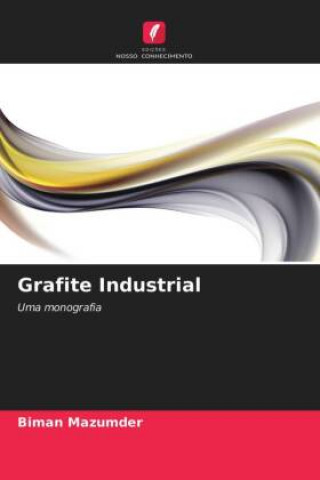 Buch Grafite Industrial Biman Mazumder