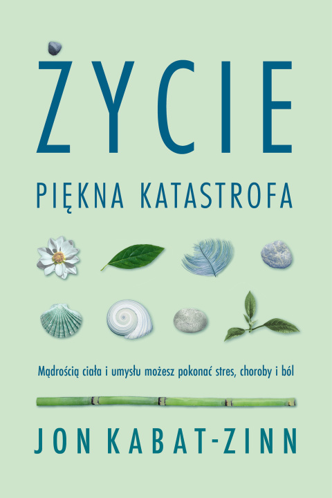 Book Życie, piękna katastrofa Jon Kabat-Zinn