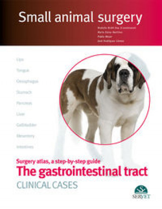 Книга GASTROINTESTINAL TRACT CLINICAL CASES SM RODOLFO BR HL DAY