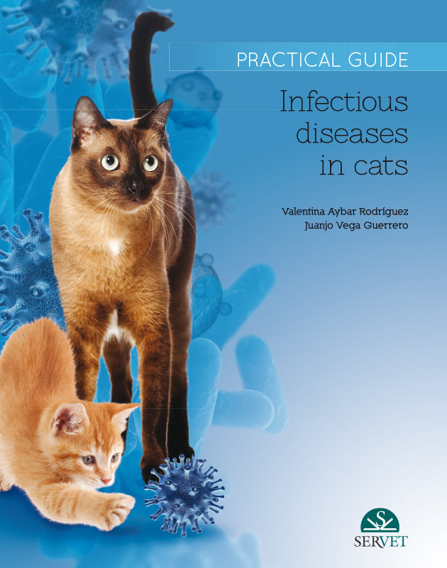 Kniha INFECTIOUS DISEASES IN CATS PRACTICAL GU JUANJO VEGA GUERRERO