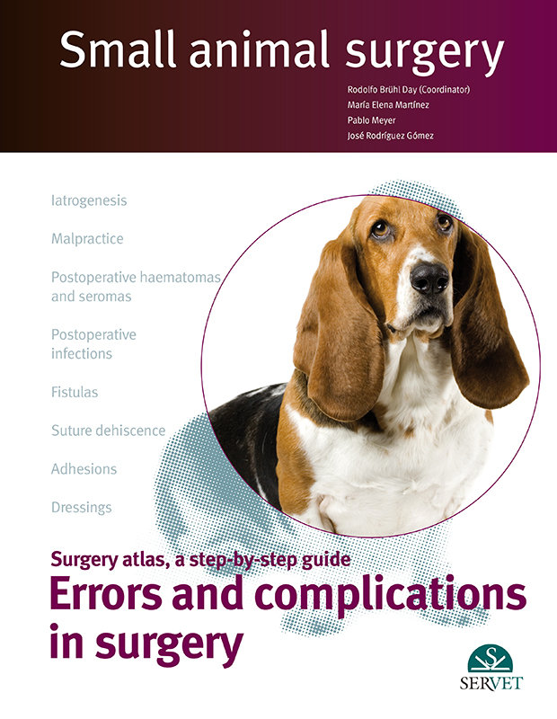 Knjiga ERRORS & COMPLICATIONS IN SURGERY SMALL RODOLFO BR HL DAY