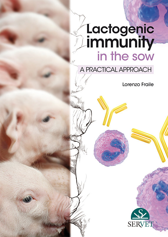 Carte LACTOGENIC IMMUNITY IN THE SOW A PRACTIC LORENZO FRAILE