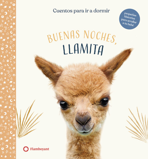 Könyv Buenas noches, Llamita AMANDA WOOD