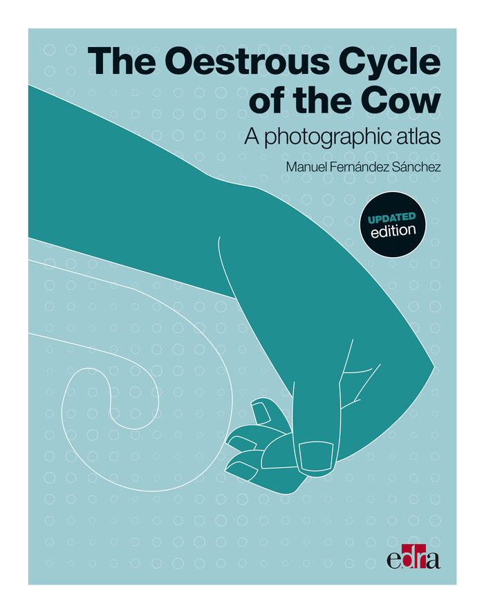 Kniha OESTROUS CYCLE OF THE COW UPDATED EDITIO MANUEL FERN NDEZ