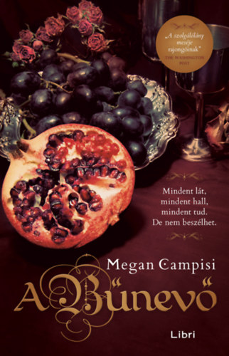 Boek A bűnevő Megan Campisi