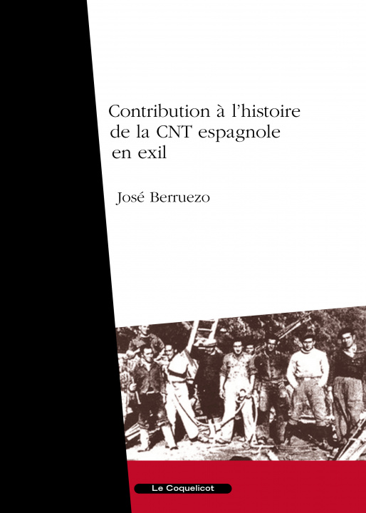 Kniha Contribution à l'histoire de la CNT espagnole en exil Berruezo