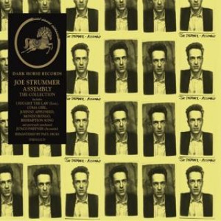 Zvok Assembly Joe Strummer