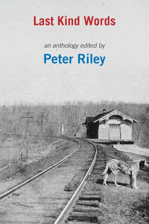 Boek Last Kind Words Peter Riley