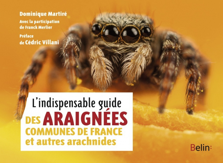 Kniha L'indispensable guide des araignées de France et autres arachnides Merlier