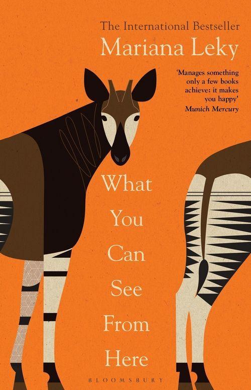 Книга What You Can See From Here 